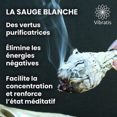 Sauge Blanche De Purification - 1 Bâton d'Encens de Sauge À Brûler +  Coquille d'Ormeau + E-Book - Élimine Les Énergies Négatives - Cdiscount  Maison