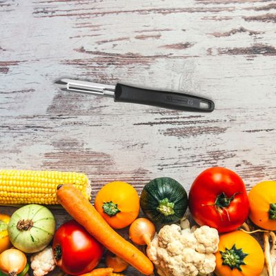 Econome,Éplucheur de légumes domestique à manche rond,couteau à éplucher 2  couleurs,1 pièce,raboteuse de fruits à - GRAY[D68432] - Cdiscount Maison