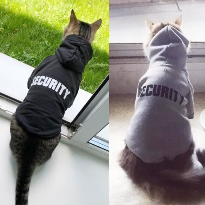 Vetement le chat 2025