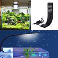 Super Slim LED Aquarium Light Plantes élèvent l'éclairage Creative clip-on lampe avec prise de l'UE (lumière blanche) -2