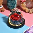 Naturelle Rose Eternelle sous Cloche La Belle et La Bete avec LED Fleurs Lumineux légante Dme en Verre Cadeau pour Fête  [1024]-3