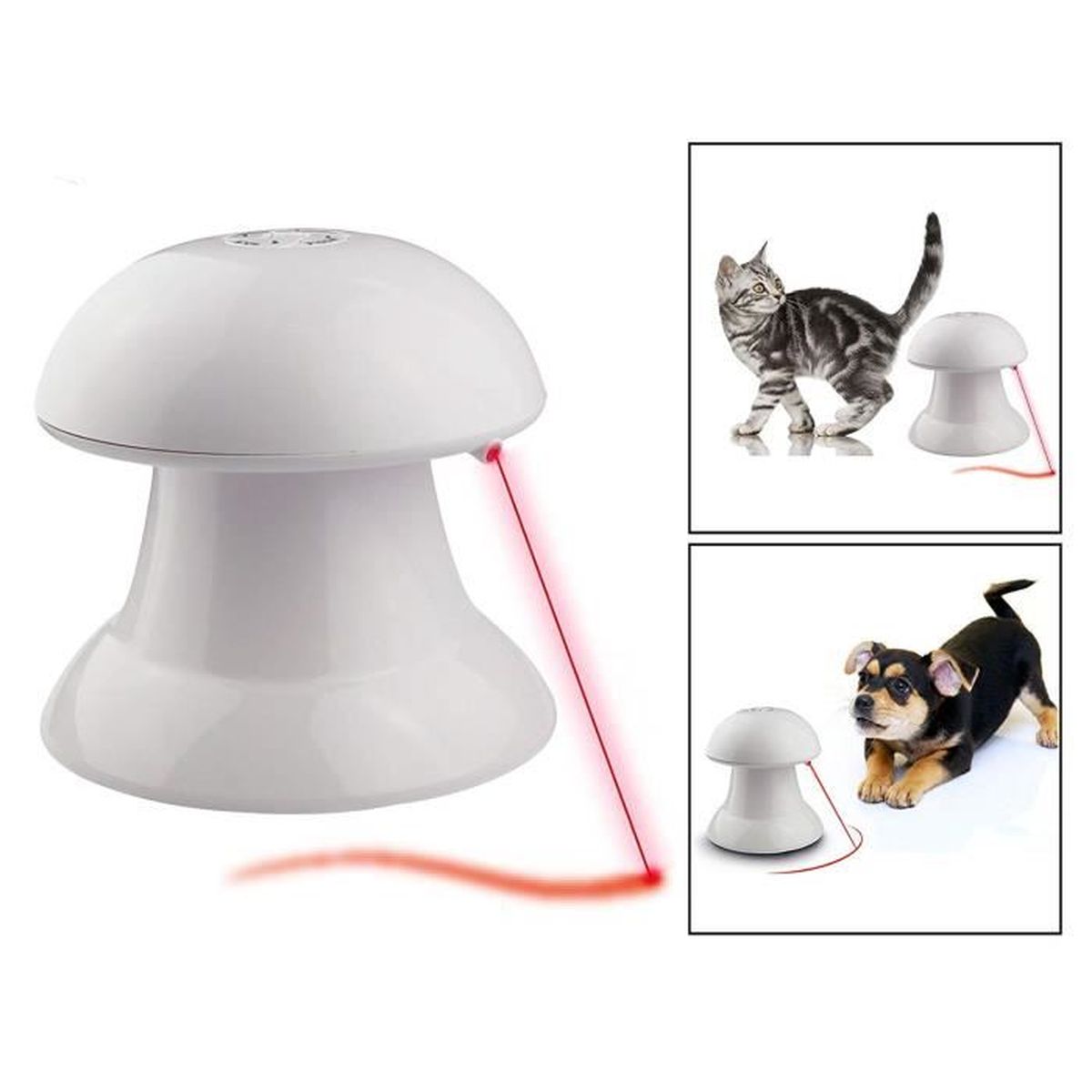 chat interactif maxi toys