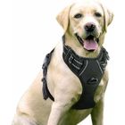 CUNEARY Harnais Chien Anti Traction, Arnet pour Chien Facile à Mettre Harnais Réfléchissant Réglable avec Attache Devant Harnais Étiquette