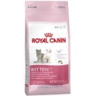 Croquettes pour chatons - Royal Canin - Kitten 36 - Digestion sensible - Sac 4 Kg
