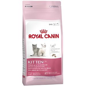 CROQUETTES Croquettes pour chatons - Royal Canin - Kitten 36 