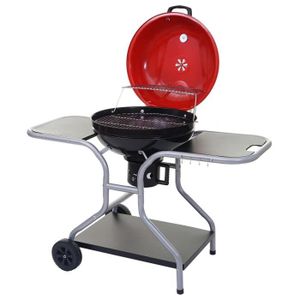 Nedis coulait pour smitth 120ebk