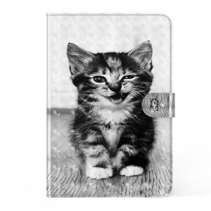 Chat Qui Rit Cdiscount