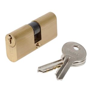 /à la Torsion et au per/çage Protection contre la Reproduction des cl/és r/ésistance /à la Casse 2 entr/ées 80 = 40+40 Bricard 1779 Cylindre d/ébrayable Mistral S en Laiton Poli 12 Pistons