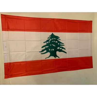 Digni – Drapeau Du Liban 30 X 45 Cm – Polyester Résistant – Intérieur Et Extérieur – Lavable – Couleurs Vives