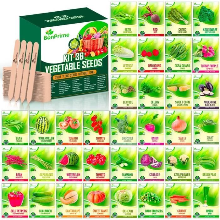 WEYE-Graines de légumes - Kit de légumes insolites avec 5 sachets de  graines (carottes, courgettes, choux de Bruxelles, graine[1074] - Cdiscount  Jardin