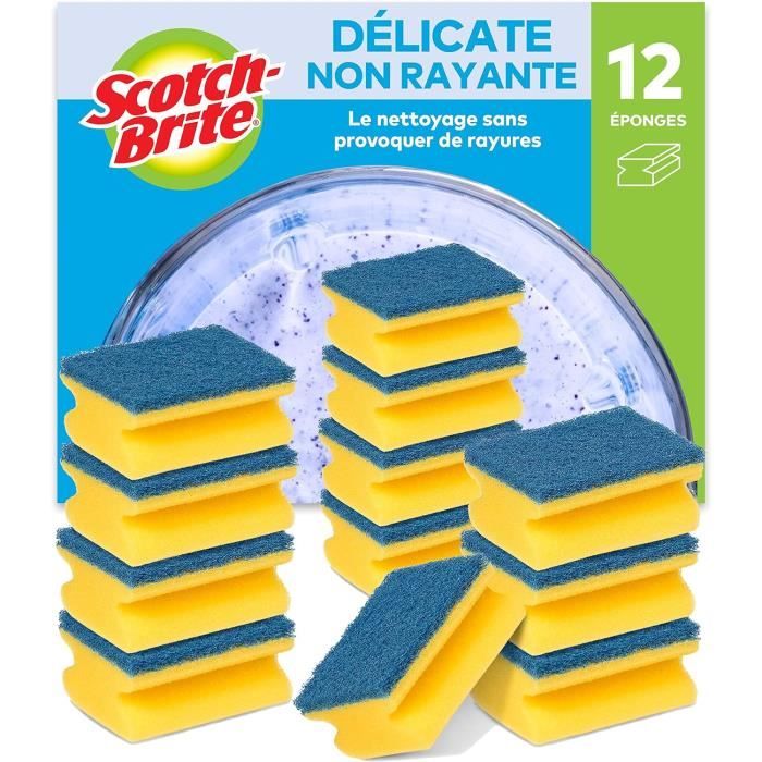 Éponge Métallique En Inox - Nettoyage Intensif Four, Plancha & Grilles