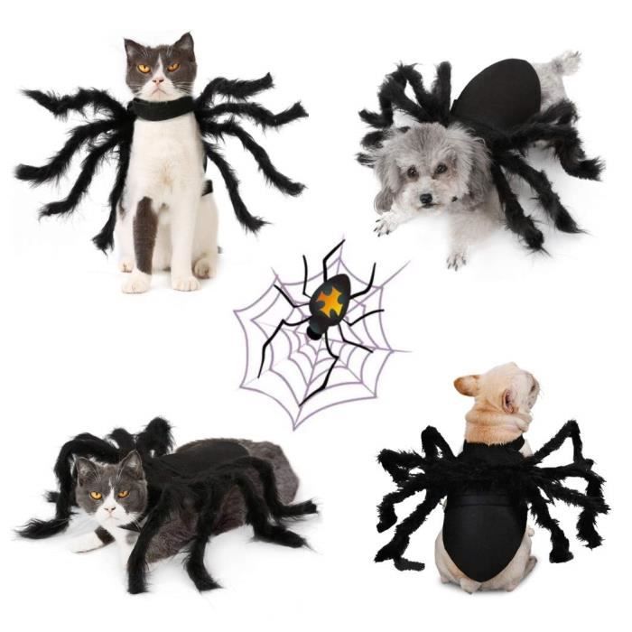 Chien De Compagnie Costume Halloween Chapeau Diable Cornes Chapeau Party Chats De Vacances Decoratif Cheveux Accessoires Pour Chiot Achat Vente Deguisement Chien De Compagnie Costume Cdiscount