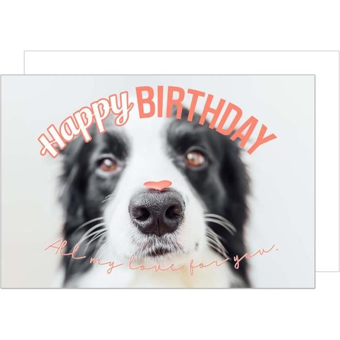 1 Carte D'Anniversaire Élégante De Qualité Supérieure Pour