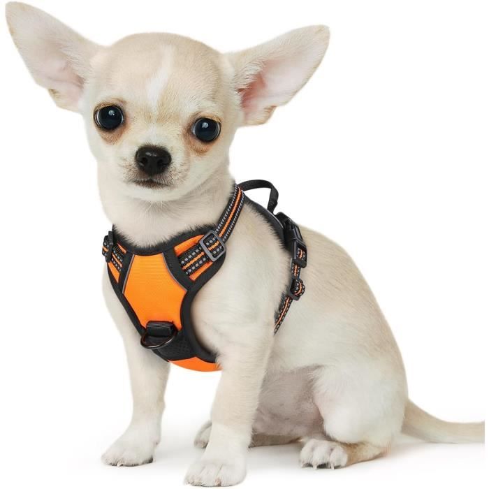 Harnais Chien Réglable Réfléchissant - Sans Traction, Poignée Pour Laisse - Polyester Néoprène
