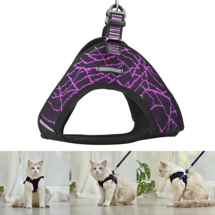 Harnais Pour Chat Avec Laisse Réfléchissante - Réglable, Confort Et Sécurité Pour Promenades Nocturnes - Convient Aussi Aux Petits Chiens