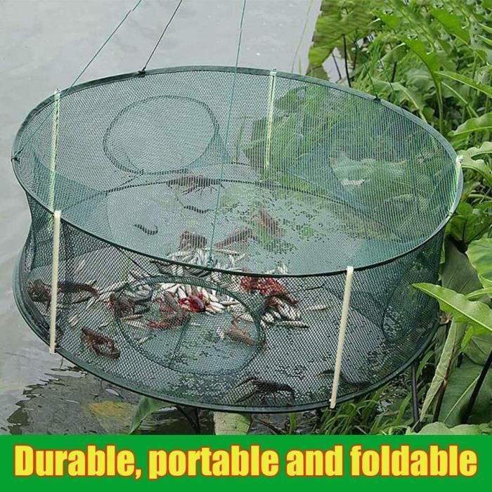Nasse à écrevisses Et Crabes - Piège Portable En PP, Avec Corde Et Appât - Pour Eau Douce Et Salée, étangs, Rivières