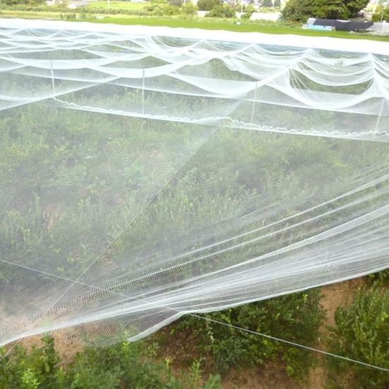 Filet Anti-Insectes 3x5m - Protection Potager - Polyéthylène Respirant - Jardinage