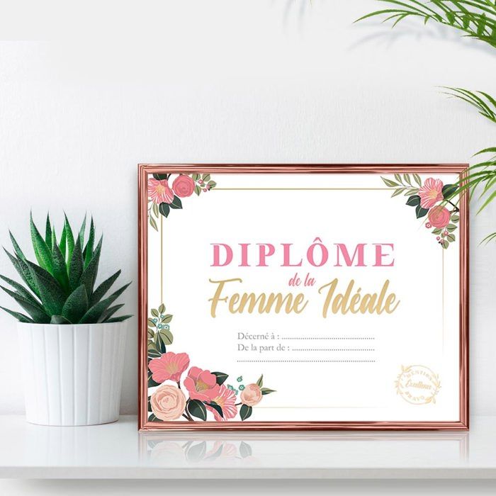 Cadre murale 'Diplôme de la Femme Idéale' - Dimensions : 25,5 x 21 x 1 ...