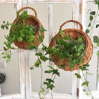 Tenture Murale Pot De Ange Planteur Vase Succulentes Tête Visage Pot De