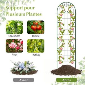 Lot De 8 Supports Pour Plantes En Forme De Grenouille - Mignons Et Pratiques Pour Plantes Grimpantes