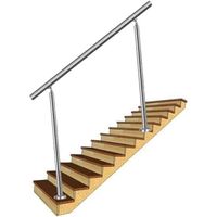 Aufun Main courante en acier inoxydable 120 cm Rampe d'escalier pour intérieur et extérieur avec 2 poteaux 0 barre transversale.