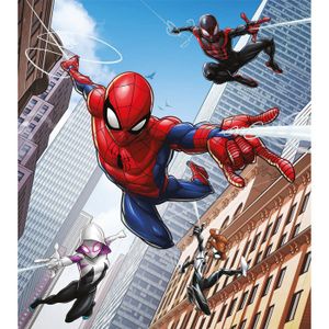 Marvel Spiderman (10591) Poster Mural, Papier peint | Acheter-le sur Marvel Spiderman (10591) Poster Mural, Papier peint | Acheter-le sur
