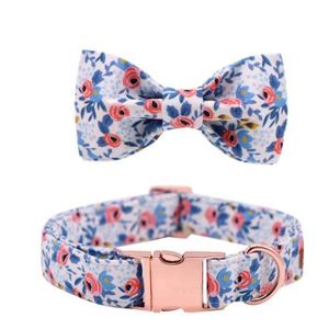 Collier Pour Chat Avec Noeud Papillon Cdiscount Collier Pour Chat Avec Noeud Papillon Cdiscount