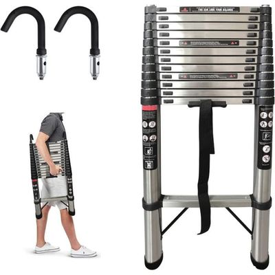 Dayplus shop telescopic ladder