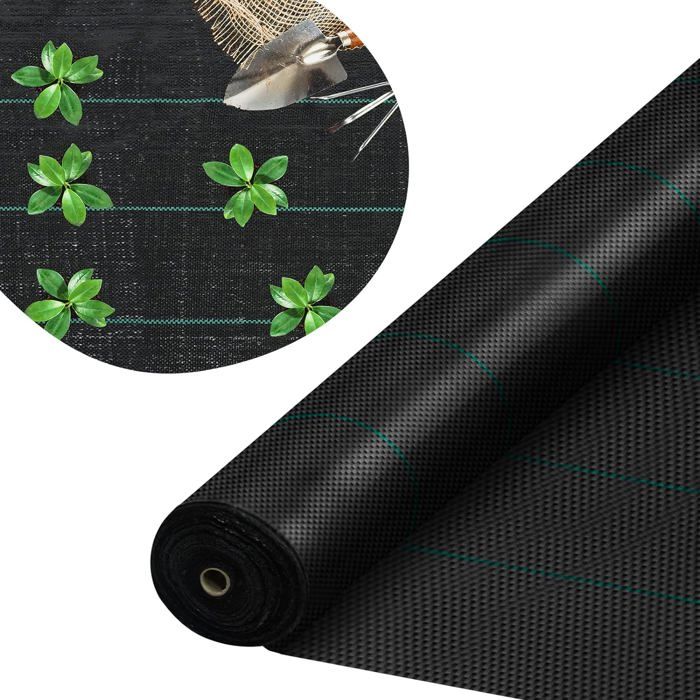simbolo della tartaruga hawaiana