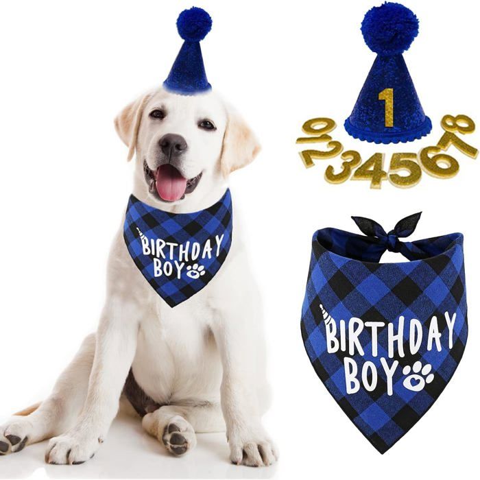 Articles de fête danniversaire pour chien : bandana foulard et chapeau danniversaire pour chien avec chiffre.
