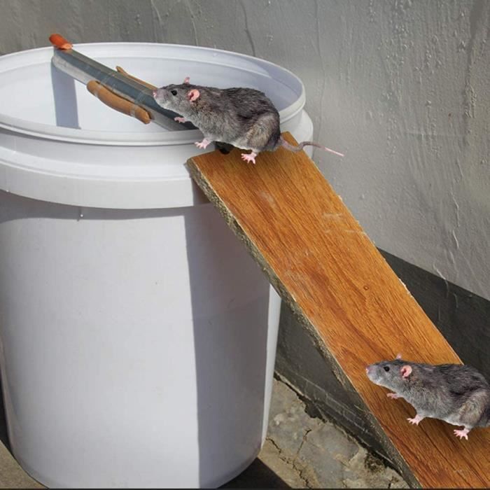 Piège à souris en plastique, rouleau en acier inoxydable, réutilisable, attraperats pour la
