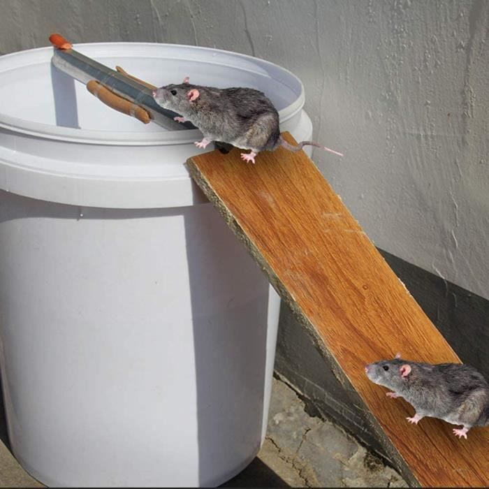 Piège à souris en plastique, rouleau en acier inoxydable, réutilisable,  attrape-rats pour la maison et les entrepôts A342 - Cdiscount Jardin