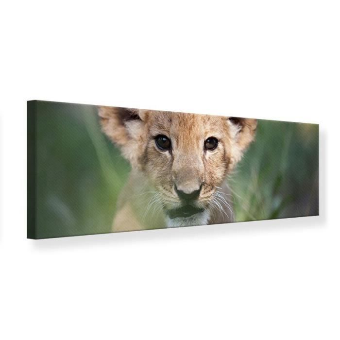 Tableau Sur Toile Panoramique Bebe Lion 90 X 30 Cm Achat Vente Tableau Toile Prolongation Soldes Cdiscount Tableau Sur Toile Panoramique Bebe Lion 90 X 30 Cm Achat Vente Tableau Toile Prolongation Soldes Cdiscount