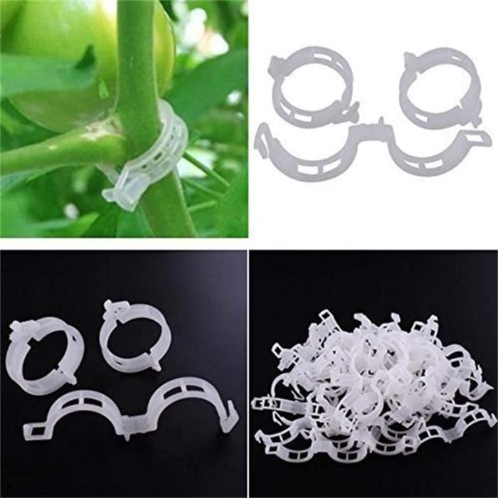 200 Pièces Clips- Petit De Jardin Support Pour Plantes Twisty Anneaux Pour Plantes Grimpantes Attache Plante Pinces Tomate En - Jardin
