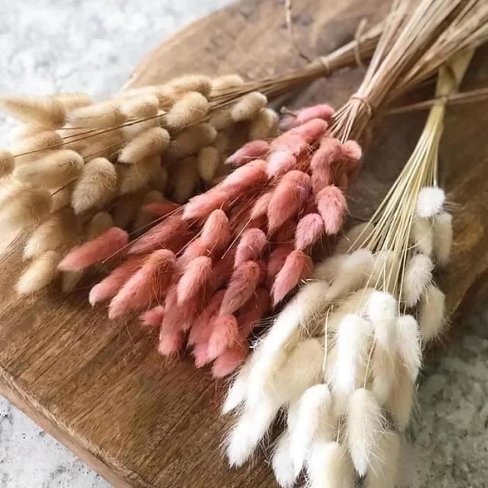 Fleurs de Lagurus Ovatus séchées naturelles, bouquet de couleur lapin queue de pampas séchées