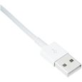 Cable APPLE Lightning To USB cable 2 M-2
