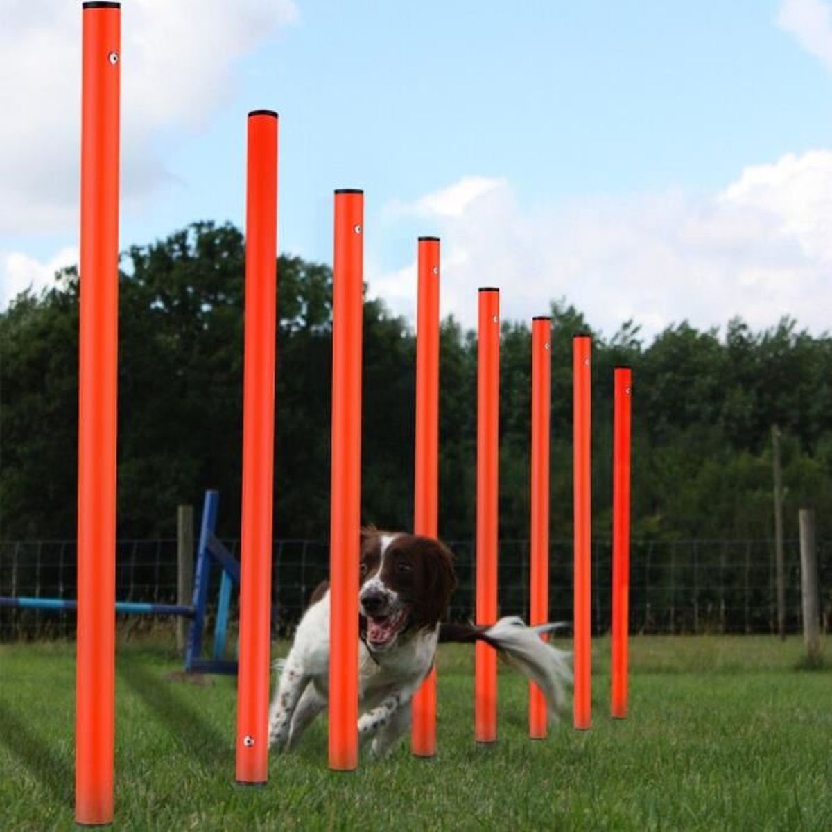 Professional Dog Agility Equipment Kit,Pet Obstacle Course Training