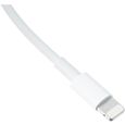 Cable APPLE Lightning To USB cable 2 M-3