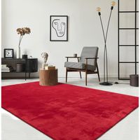 Tapis de Salon ou chambre en rouge 80x150 | Tapis poil ras moderne et doux | Rectangulaire | Interieur | Lavable  - The Carpet Loft