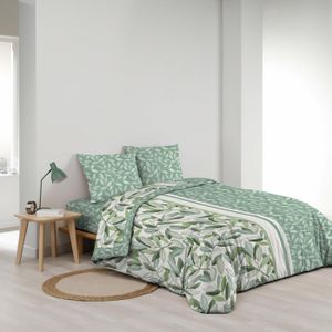 Basic Lot De 2 Draps-Housses En Jersey-90 X 190 Cm-100 X 200 Cm-Bonnet Basic Lot De 2 Draps-Housses En Jersey-90 X 190 Cm-100 X 200 Cm-Bonnet