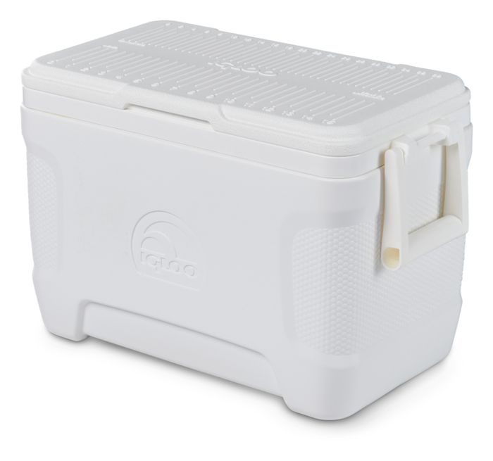 Igloo Marine Contour 25 Glacière - 23 Litre - White