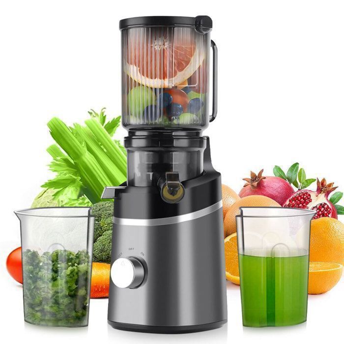 Extracteur de Jus de Fruits et Légumes Vertical 120mm Machine à Jus avec 2 Tasses et Brosse 800W et Capacité de 1.5 L - Qviidbvb