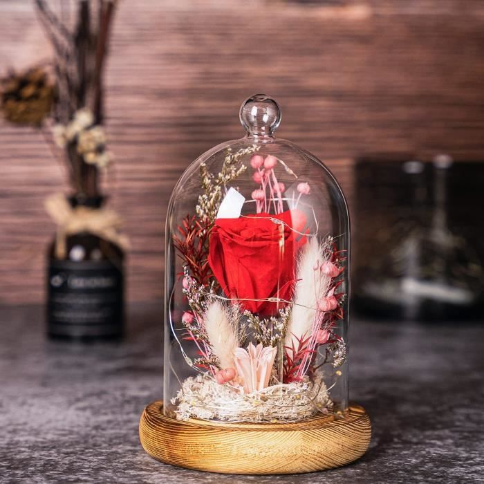 Rose Éternel, Naturelle Fleur Eternelle sous Cloche avec Lumière LED Pine  Base et Carte de Voeux, Rose Eternelle Rouge Cadeau pour F - Cdiscount  Maison