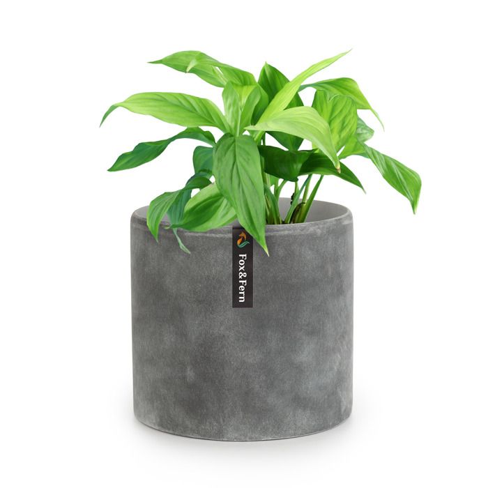 Pot de fleurs Blumfeldt Fox & Fern Venlo polystone intérieur et extérieur 3 tailles - 20 cm - Gris