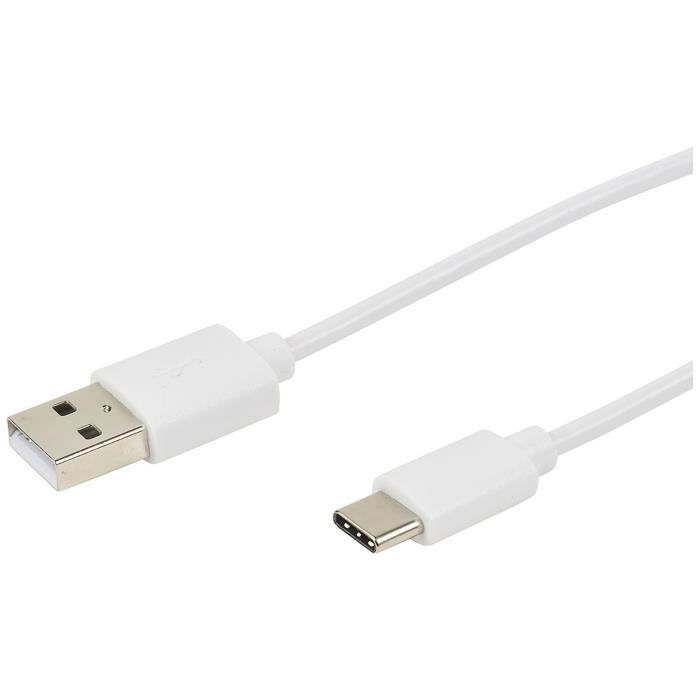 ERARD Cordon USB type C mâle / USB mâle 2