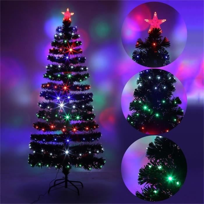 Sapin Exterieur Jardin