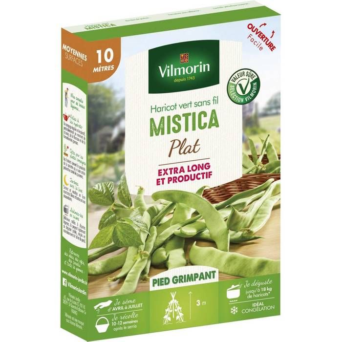 Meilleurs prix pour Graines de Haricot vert sans fil MISTICA plat - 10 mètres - vilmorin-