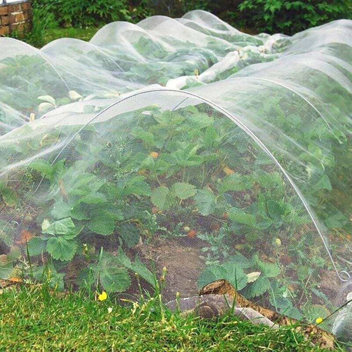 Filet anti-insecte pour jardin - MICH - 3m x 10m - Maille fine ...