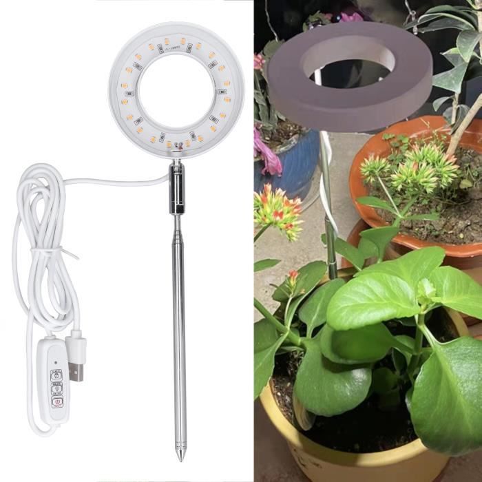 Lampe végétale, lampe de croissance NewHeads, synchronisation AUTO -  ALLUMER / ÉTEINDRE Lampe LED horticole pour semis, plantes succulentes  Règles européennes Interface USB
