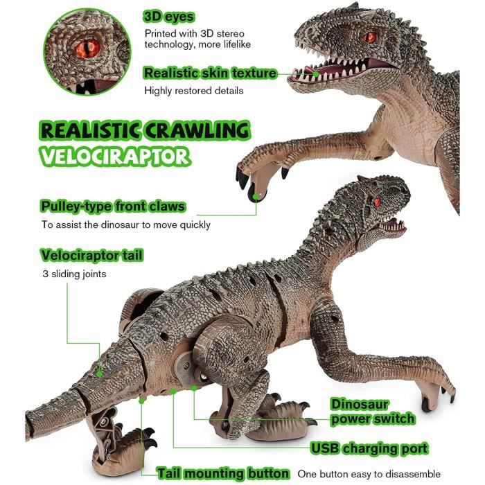 Remote control indoraptor store